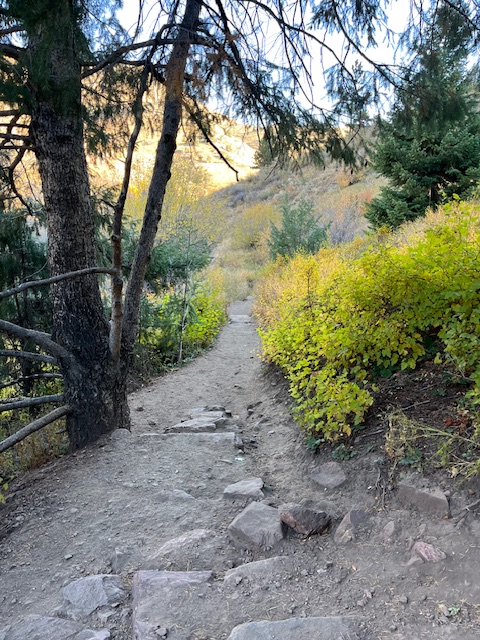 Path along Galbraith Loop