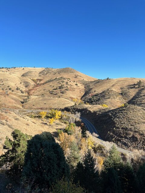 Views from Galbraith Loop