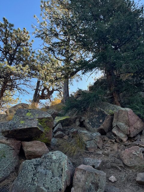 Rocky slope along Galbraith Trail