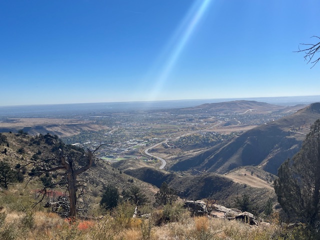 Mount Galbraith Views