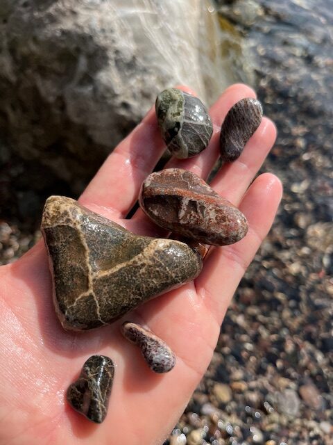 Serpentinized Peridotite, Blackrocks Beach, Presque Isle - Great Lakes