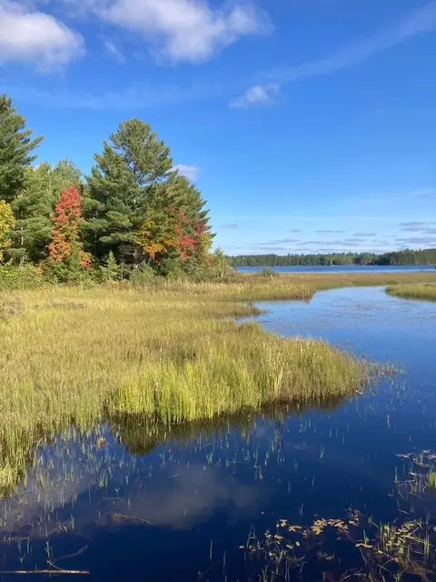 View from the Heart of Vilas County Trail