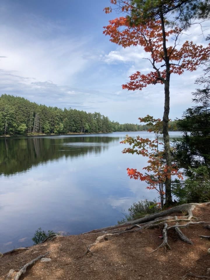 View of Fallison Lake from Fallison Lake Trail, Boulder Junction, WI