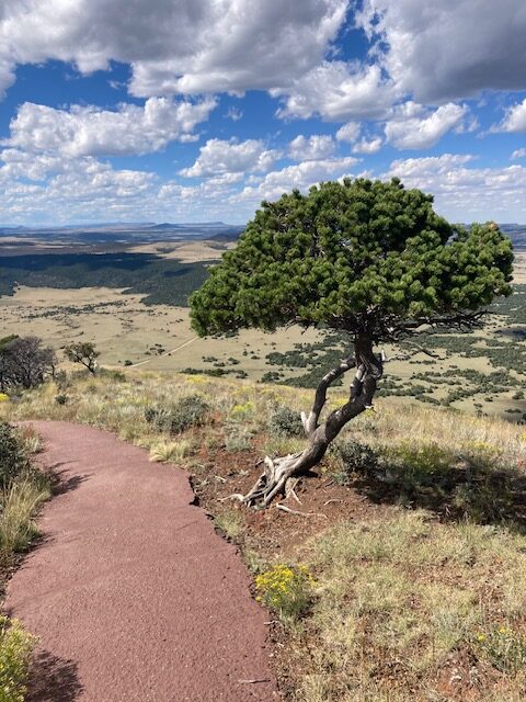 View from Crater Rim Trail, Capulin Volcano