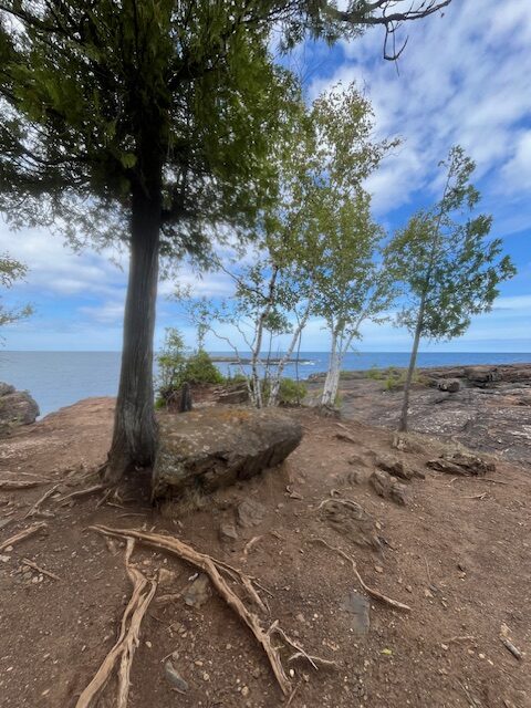 Path leading to Blackrocks Beach