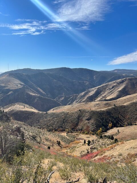 Views from Mount Galbraith