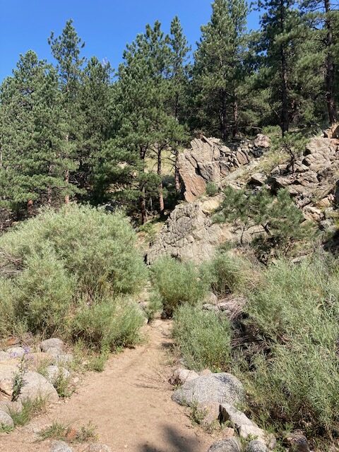 Anne U. White Trail
