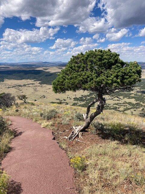 View from Capulin Volcano National Monument Crater Rim Trail