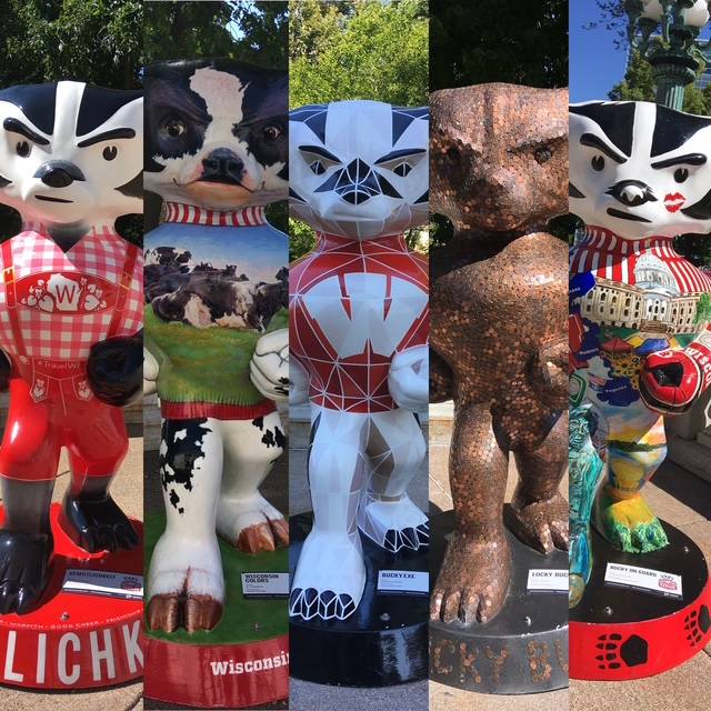 Bucky the Badger, Madison, WI